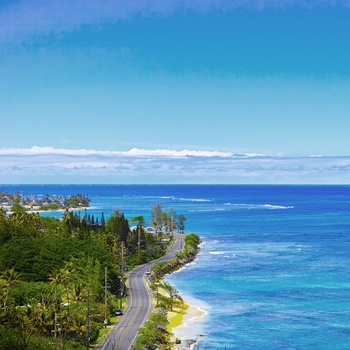 Vej langs kysten - Hawaii - USA