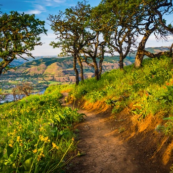 USA Oregon Columbia Gorge 