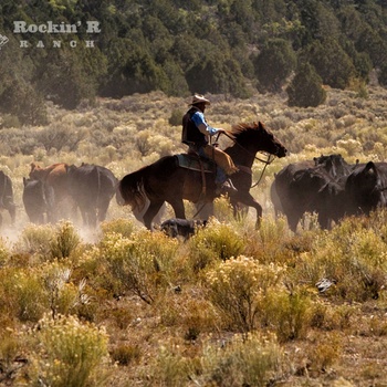 USA Utah Rockin R Ranch