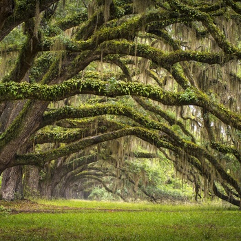 USA South Carolina Charleston