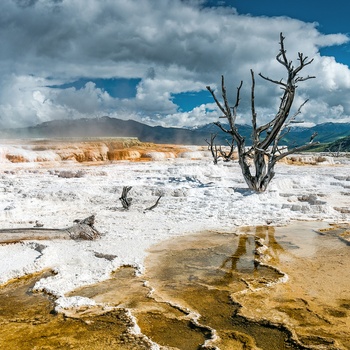 USA Yellowstone National Park Mammoth Hot Springs