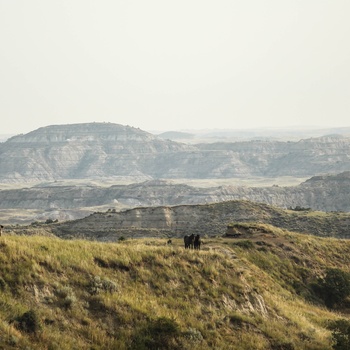 Theodore Roosevelt National Park i North Dakota 