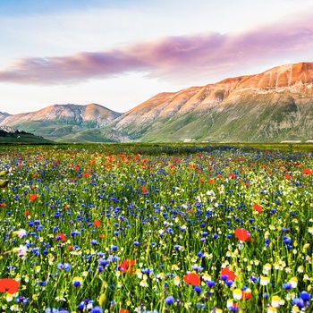 Casteluccio, Piana Grande i Umbrien