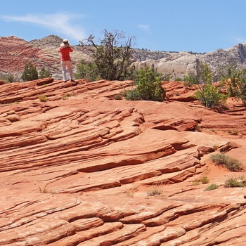 Snow Canyon State Park i Utah, USA