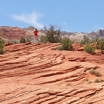 Snow Canyon State Park i Utah, USA