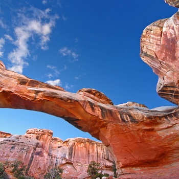 Hickman Bridge i Capitol Reef National Park - Utah i USA