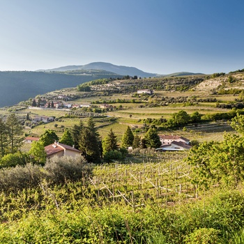 Valpolicella - vinområde tæt på Gardasøen
