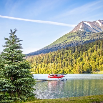 Vandflyver på Upper Trail Lake på Kenai-halvøen i Alaska