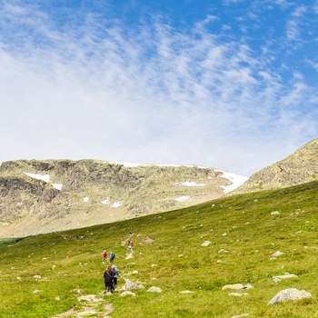 Vandrere på Prestholtstien ved Geilo