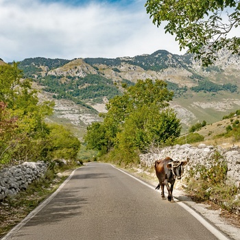 Vej gennem De Albanske Alper - Albanien