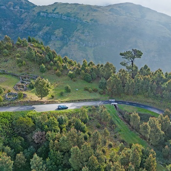 Smuk bjergvej gennem Madeiras frodige landskab
