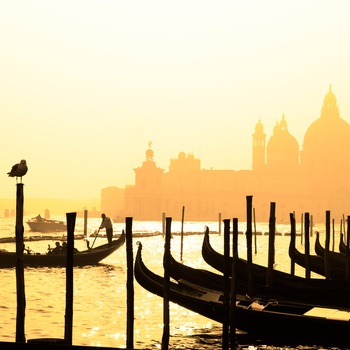 Gondoler og Santa Maria della Salute katedralen i solnedgang, Venedig