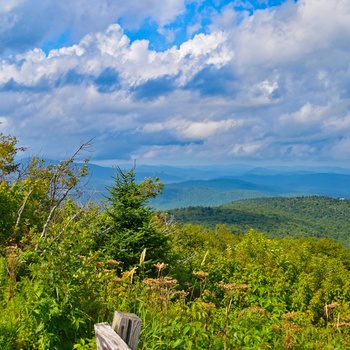 Udsigt ud over Green Mountains om sommeren, Vermont i USA