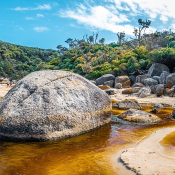 Kyststrækning i Wilsons Promontory National Park - Victoria