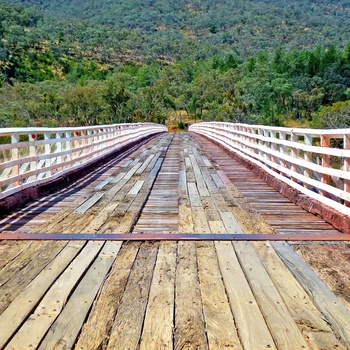 Mckillops Bridge til Snowy River National Park, Victoria i Australien