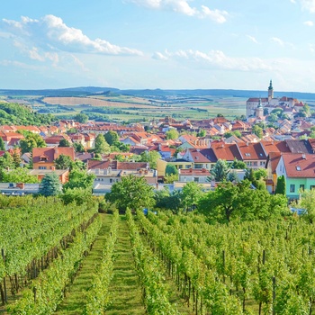 Vinmarker ved Mikulov - Tjekkiet