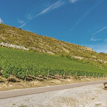 Vinvej i Saale-Unstrut - Sachsen-Anhalt, Tyskland