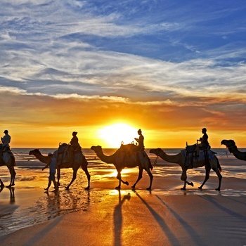Solnedgang på kameltur langs Cable Beach - Western Australia