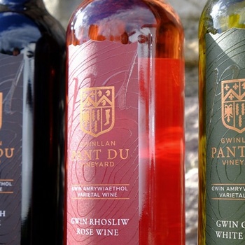 Wales - Pant du Vineyard