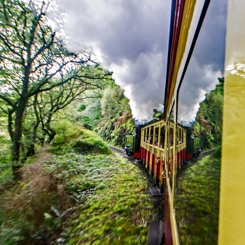 Wales - Vale of Rheidol Railway med fuld damp på vej til Devils Falls