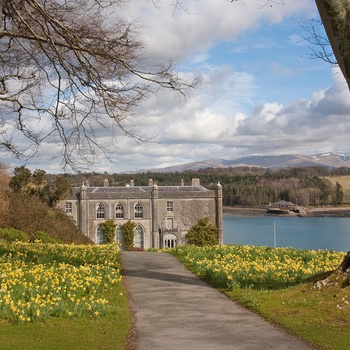 Wales - påskeliljer byder velkommen til Plas Newydd på Isle of Anglesey ned til Menai Straits