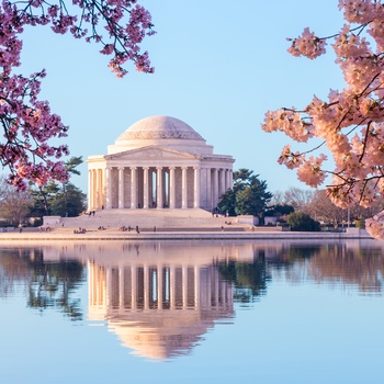 Jefferson Memorial og kirsebærblomster i Washington D.C.