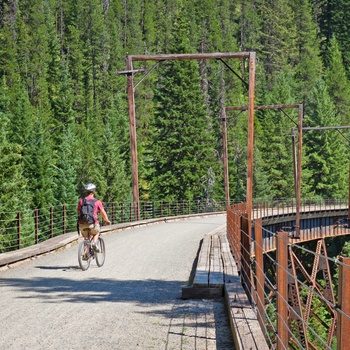 På cykel via Hiawatha Trail - bro over frodigt skovområde - Montana og Idaho i USA