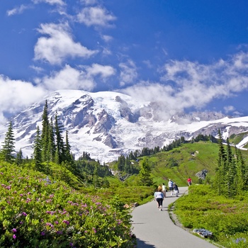 På vandring i Mount Rainier National Park i Washington State, USA