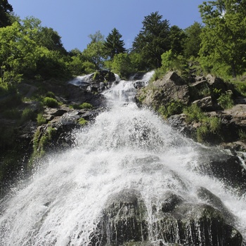 Todtnauer Wasserfall © Hochschwarzwald Tourismus GmbH