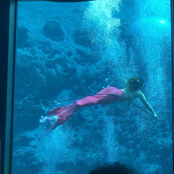 Weeki Wachee Springs havfrue, Florida