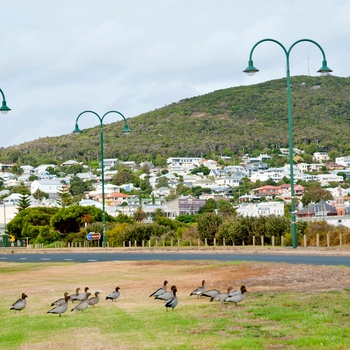 Den lille by Albany i Western Australia