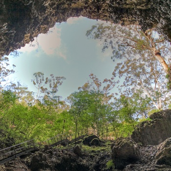 Kalkstenshulen eller grotten Mammoth Cave i Western Australia, Australien