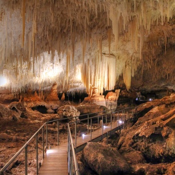 Kalkstenshulen eller grotten Mammoth Cave i Western Australia, Australien