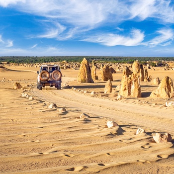 The Pinnacles i Nambung National Park, Western Australia