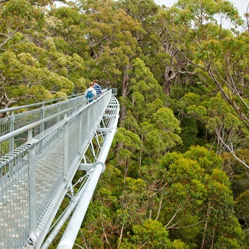 Gangbro i Valley og the Giants, Western Australia