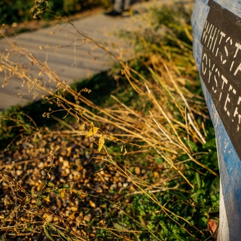 Whistable Oyster Company