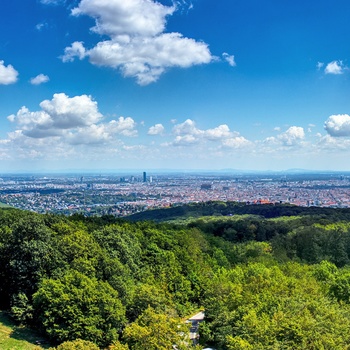 Wienerwald ved Wien, Østrig