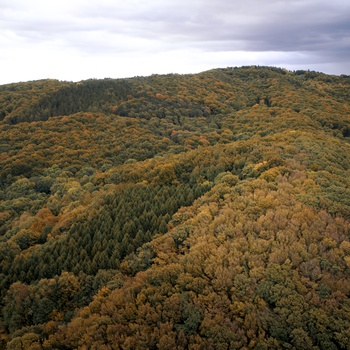 Wienerwald i Wien omegn 
