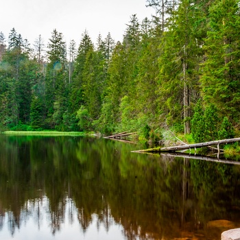 Søen Wildsee i Schwarzwald