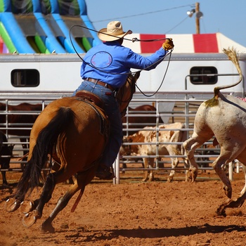 Rodeo er populært i USA
