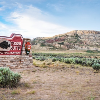 Fossil Butte National Monument i Wyoming - USA