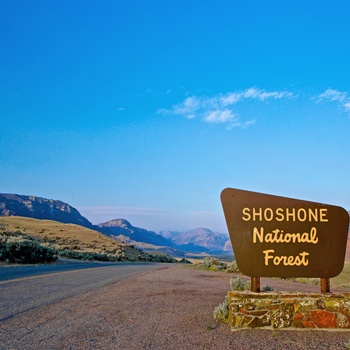 Shoshone National Forest i Wyoming, USA