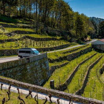 Overnatning i autocamper på vingård eller ved et landbrug