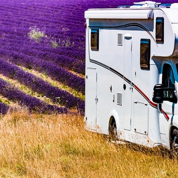 Med autocamoer gennem de sydfranske lavendelmarker