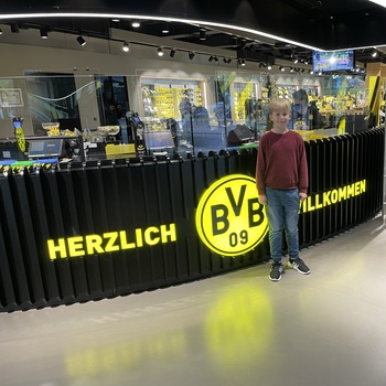 bvb dortmund fan shop
