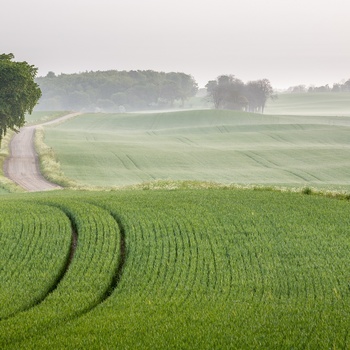 farmland © Anders Tukler.jpg 
