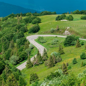 Alsace - turistvejen i Vogeserne "Route des Crêtes" i foråret hvor alt er grønt