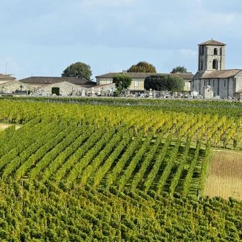 Vinmarkerne ved den skønne by St. Emilion i Bordeaux, Frankrig