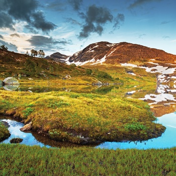 Hardangervidda National Park i Norge