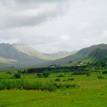 IRL_CONNEMARA_1_05.jpeg